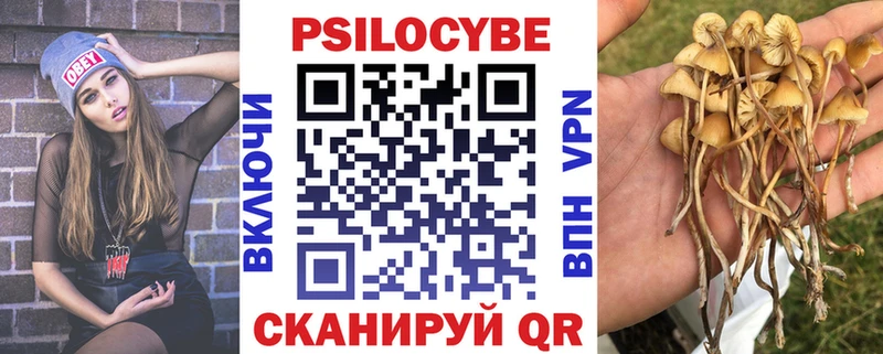Псилоцибиновые грибы мухоморы darknet Telegram Сухиничи MEGA ТОР